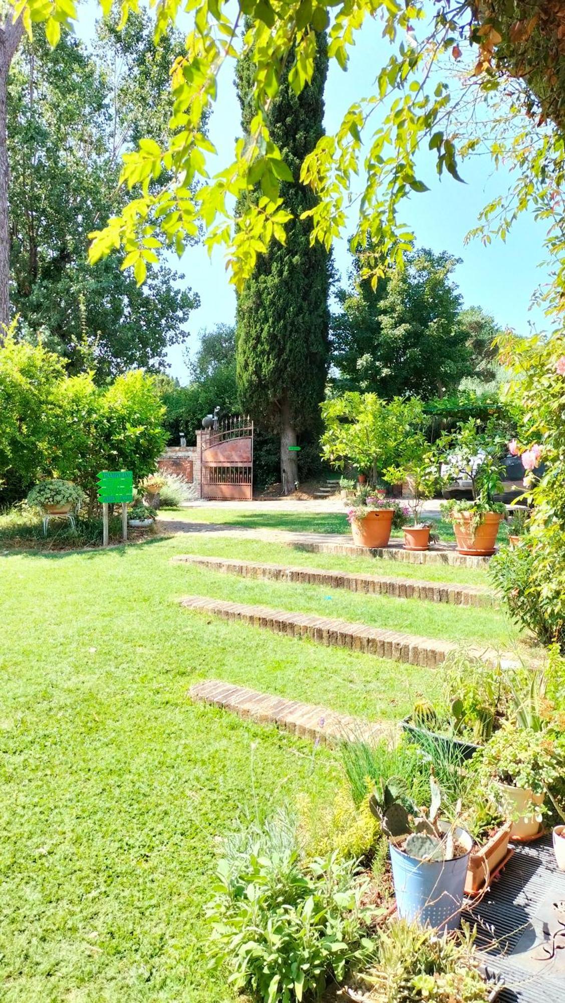 Ca' Dei Gelsi B & B Coriano Eksteriør billede