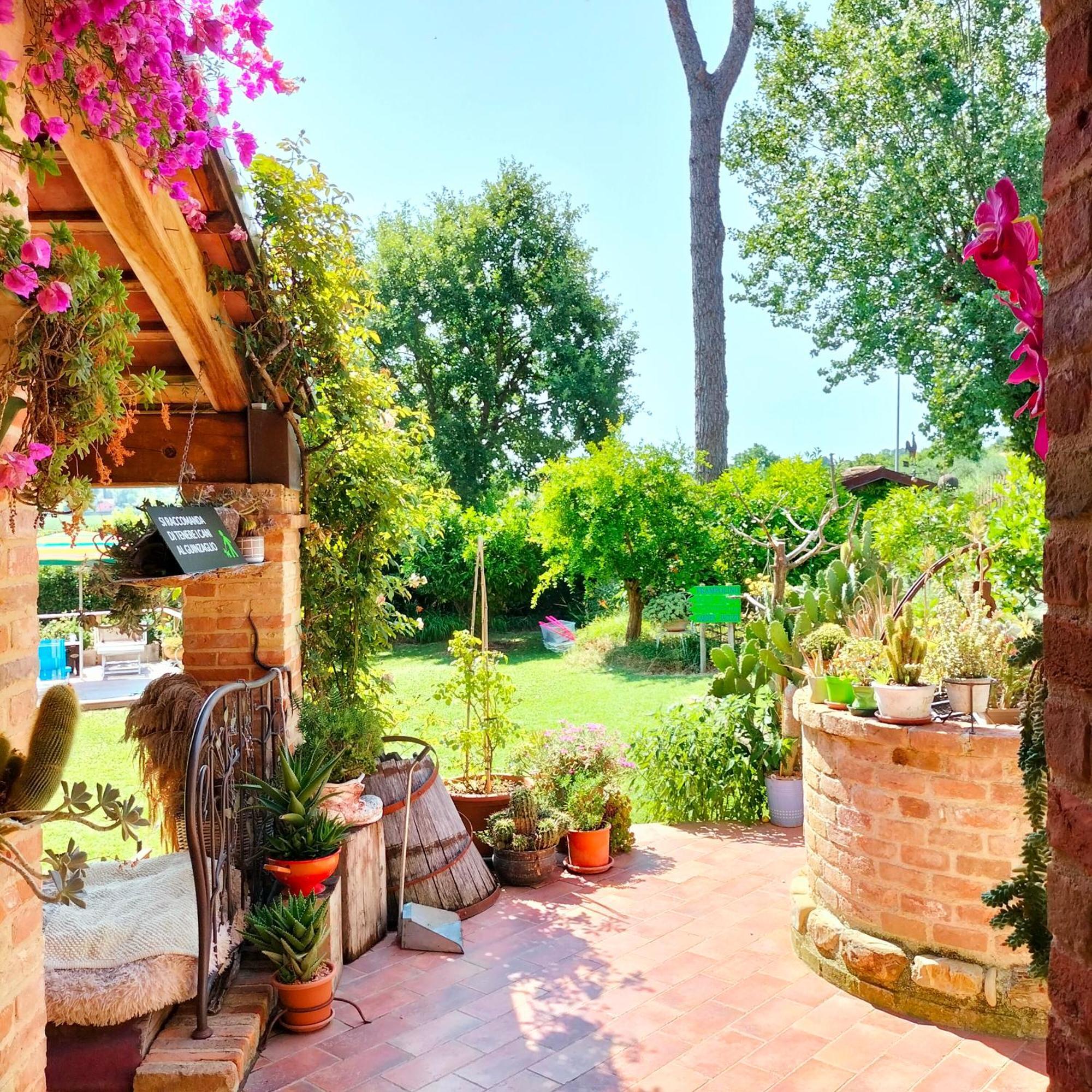 Ca' Dei Gelsi B & B Coriano Eksteriør billede