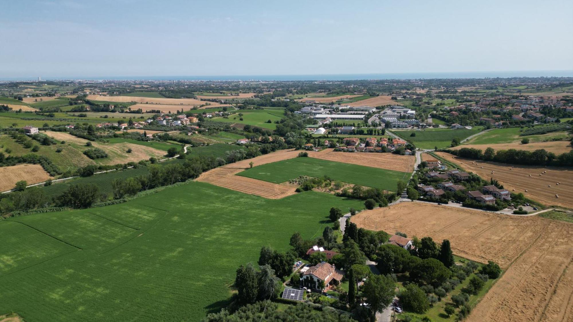 Ca' Dei Gelsi B & B Coriano Eksteriør billede
