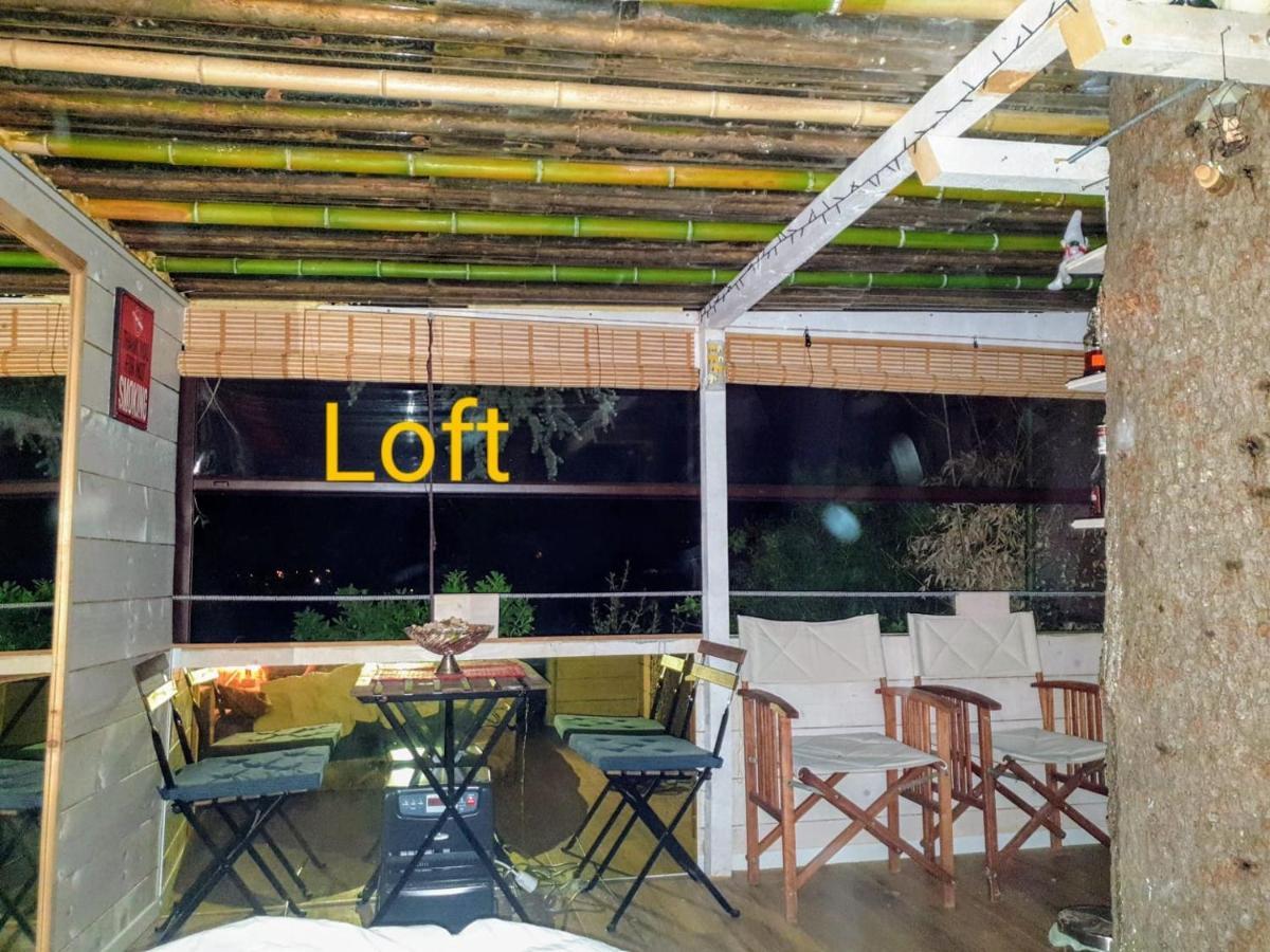 Ca' Dei Gelsi B & B Coriano Eksteriør billede